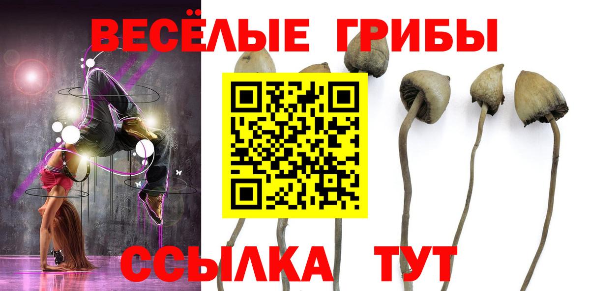 Нижнеудинск  Галлюциногенные грибы Magic Shrooms  Вход с VPN  Галлюциногенные грибы Magic Shrooms 